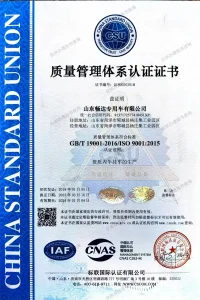 PATENTS-CERTIFICATES3