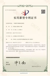 PATENTS-CERTIFICATES3